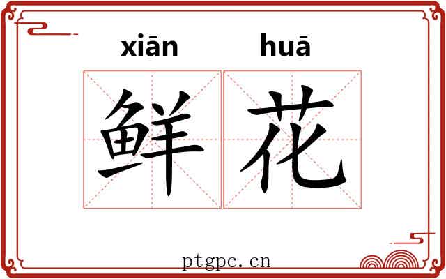 鲜花 鲜花