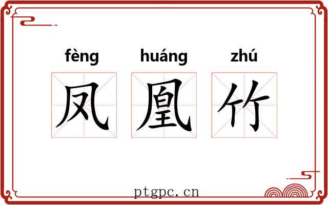 凤凰竹 凤凰竹
