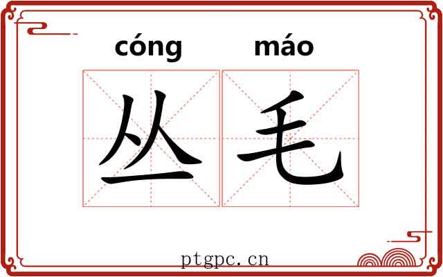 丛毛 丛毛