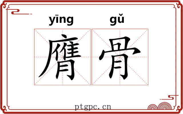 膺骨 膺骨