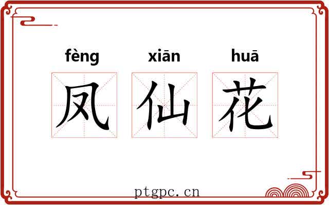 凤仙花 凤仙花
