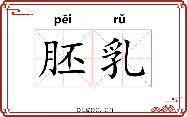 胚乳