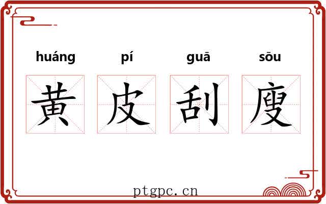 黄皮刮廋 黄皮刮廋