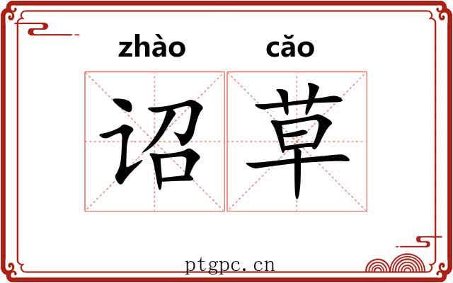 诏草