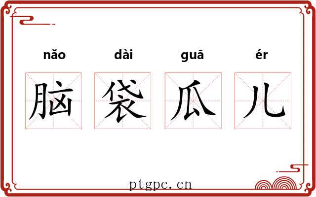脑袋瓜儿