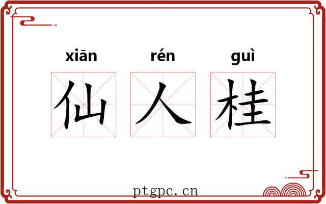 仙人桂 仙人桂
