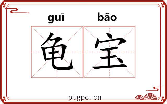 龟宝 龟宝