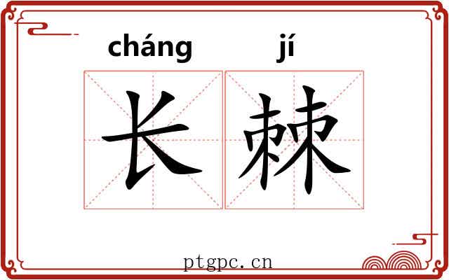 长棘 长棘