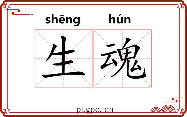 生魂 生魂