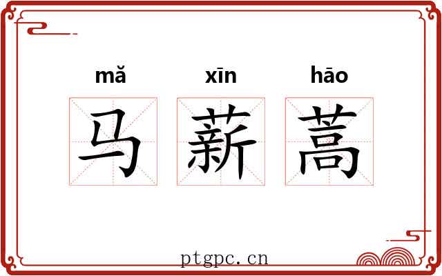 马薪蒿 马薪蒿