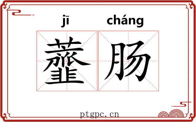 虀肠
