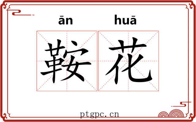 鞍花 鞍花