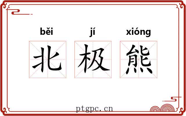 北极熊 北极熊
