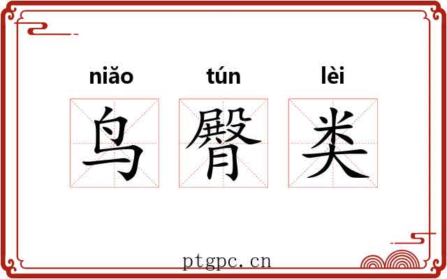 鸟臀类