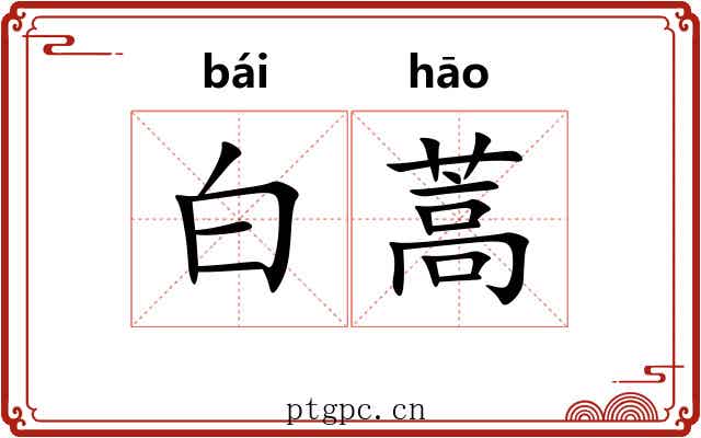 白蒿