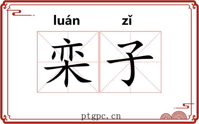 栾子
