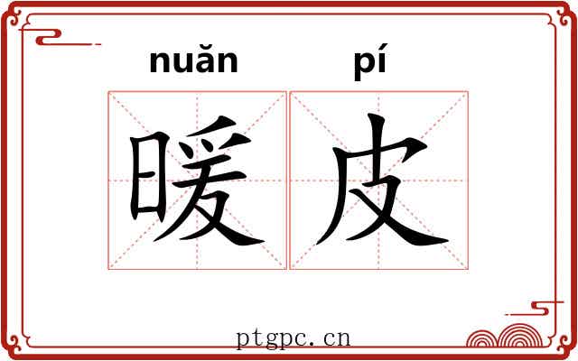 暖皮