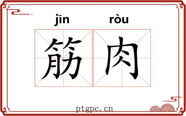 筋肉 筋肉