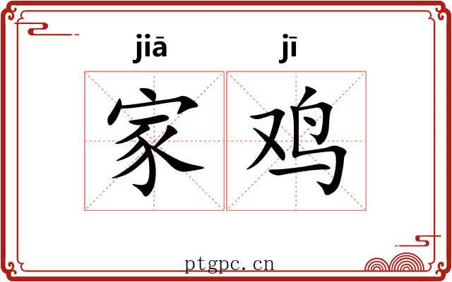 家鸡