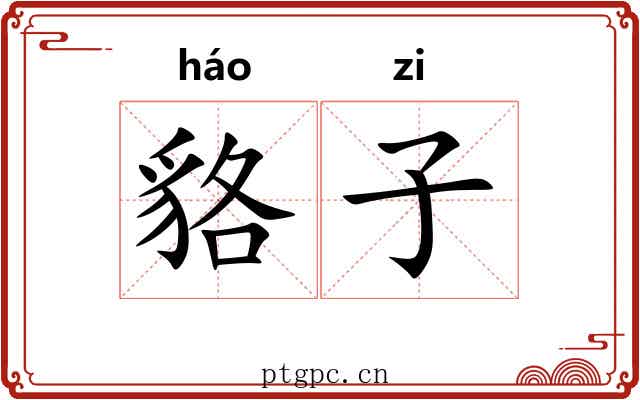 貉子