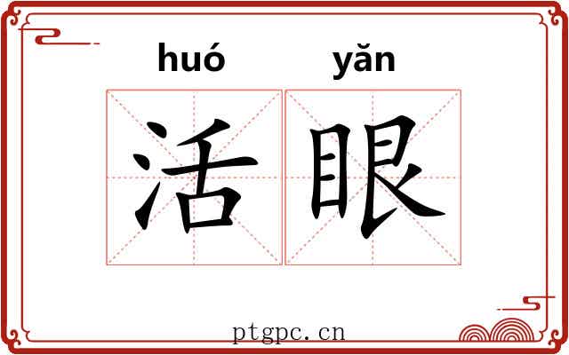 活眼 活眼