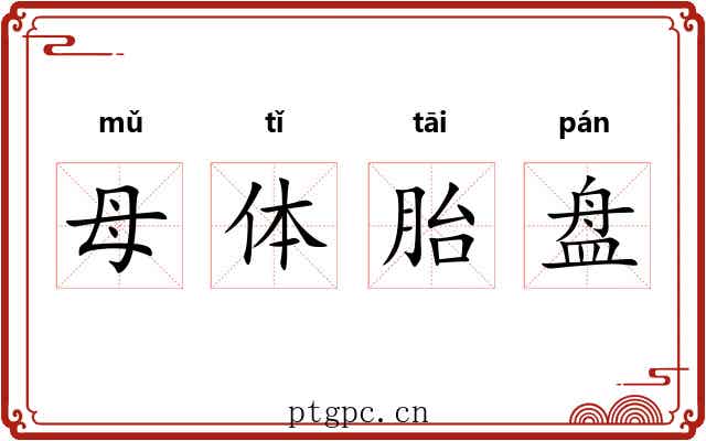 母体胎盘