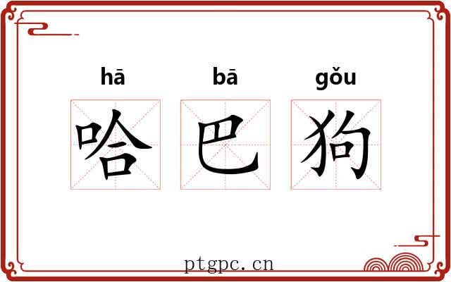 哈巴狗 哈巴狗