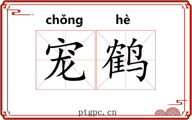 宠鹤