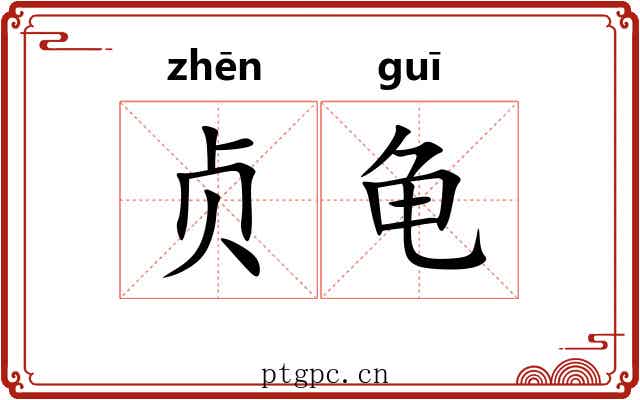 贞龟