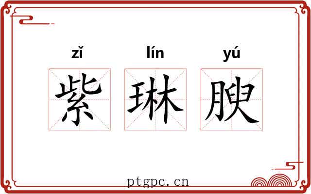 紫琳腴 紫琳腴