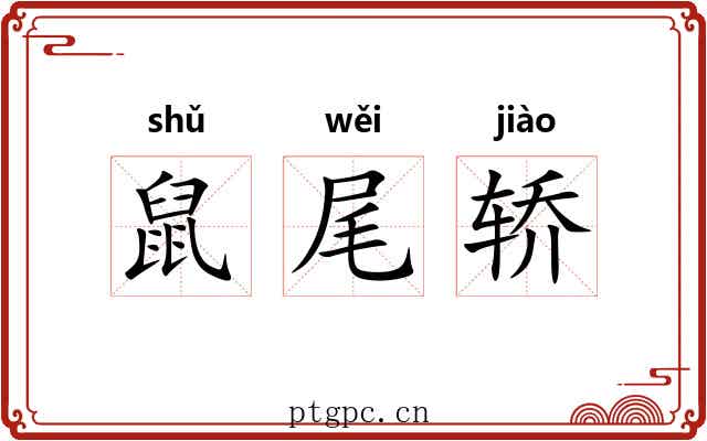 鼠尾轿