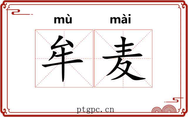 牟麦