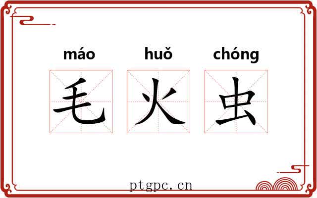 毛火虫