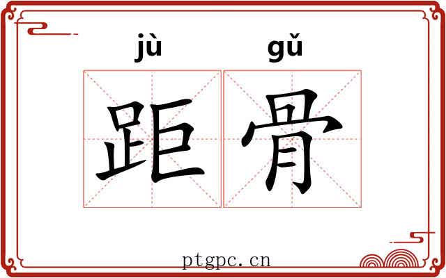 距骨