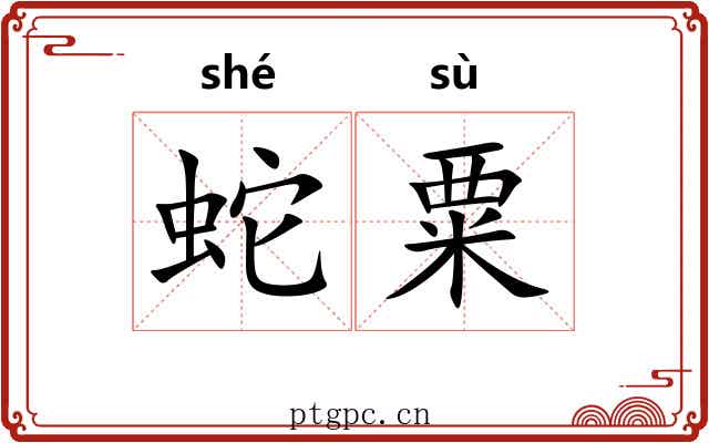 蛇粟