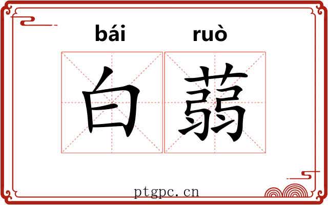 白蒻