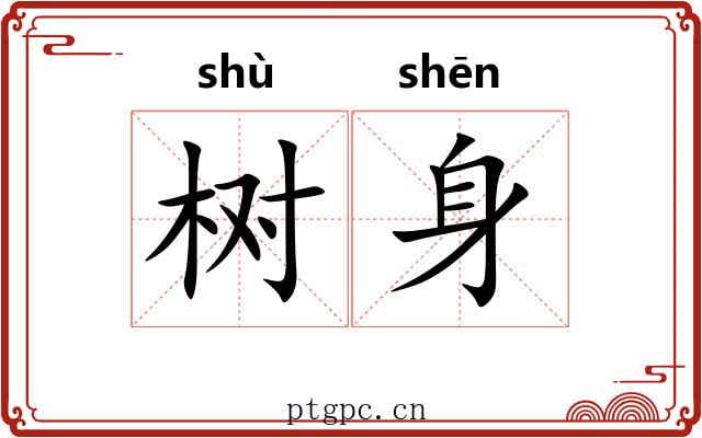树身