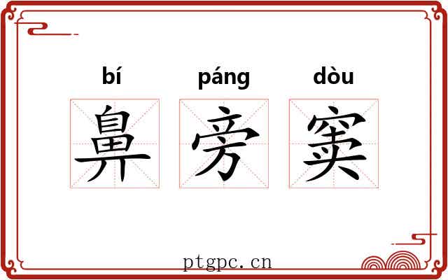 鼻旁窦