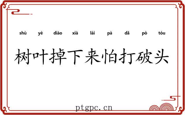 树叶掉下来怕打破头 树叶掉下来怕打破头