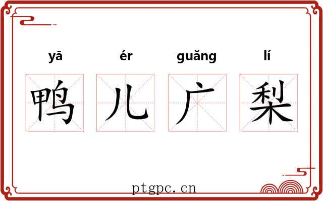 鸭儿广梨