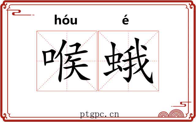 喉蛾
