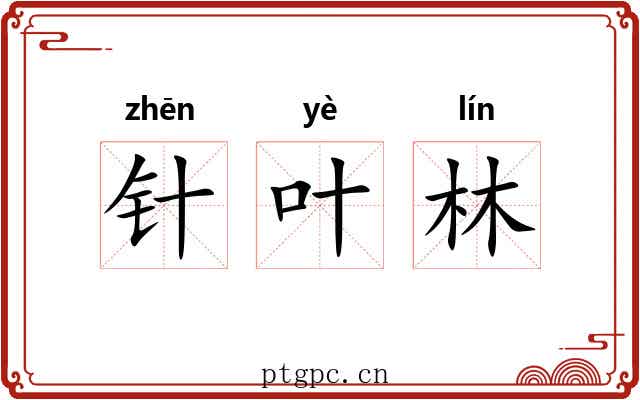 针叶林 针叶林
