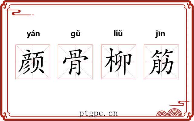 颜骨柳筋