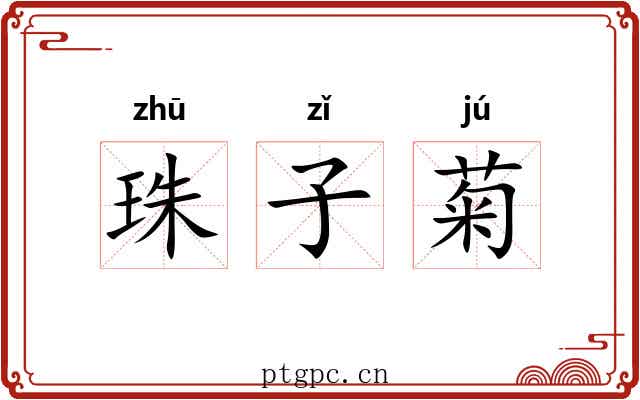 珠子菊 珠子菊