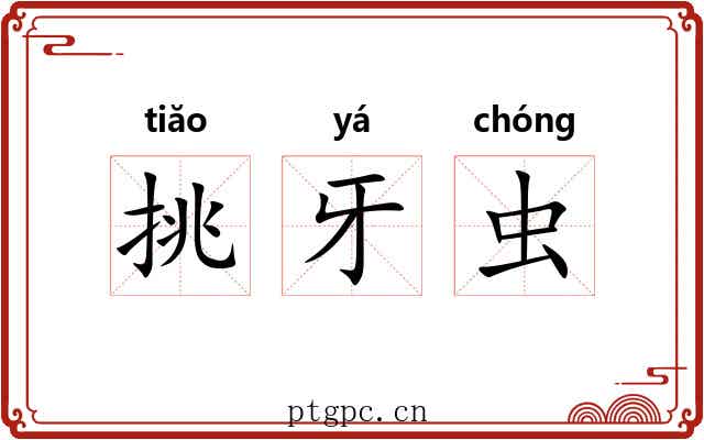 挑牙虫 挑牙虫