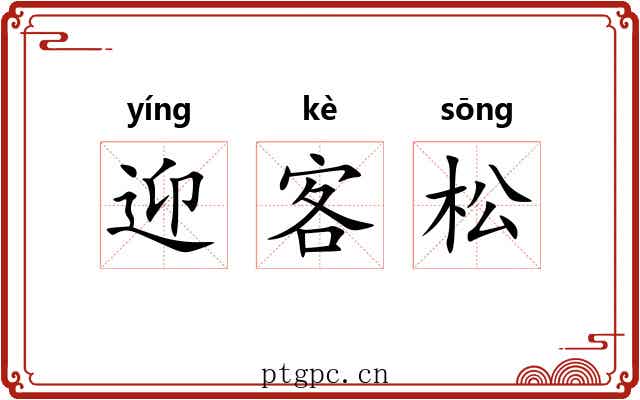 迎客松