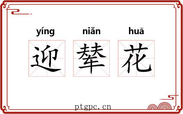迎辇花