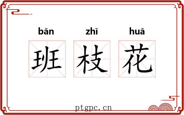 班枝花