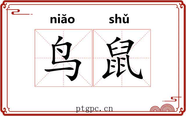 鸟鼠