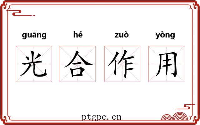 光合作用